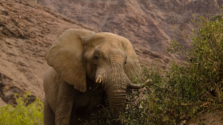 Die wilden Flüsse Afrikas