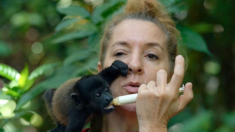 Costa Rica - Paradies zwischen den Ozeanen