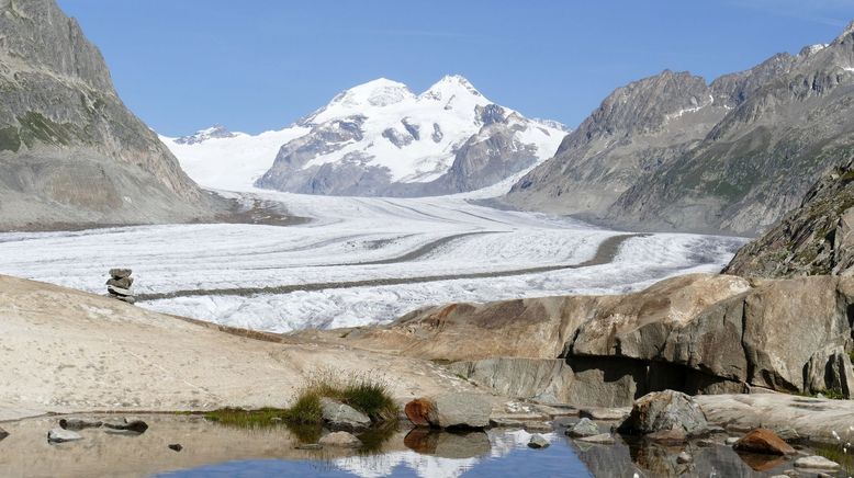 Unsere wilde Schweiz