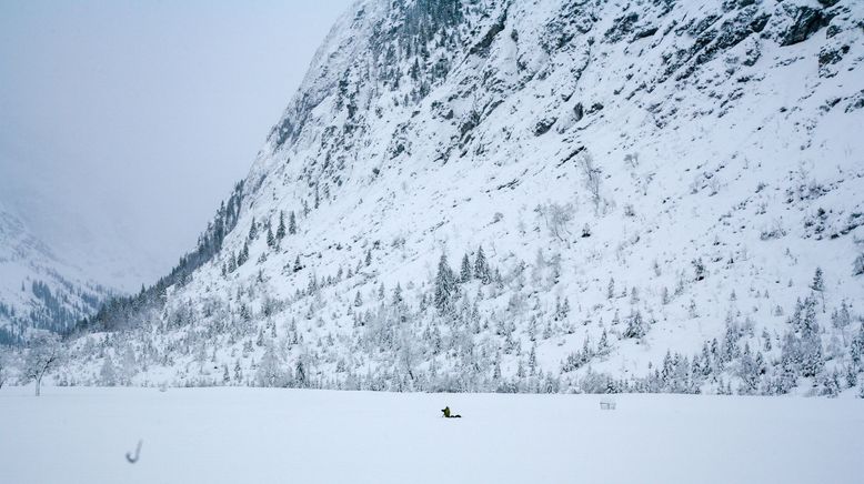 Naturparadies Seefeld - Im Reich des Wanderfalken