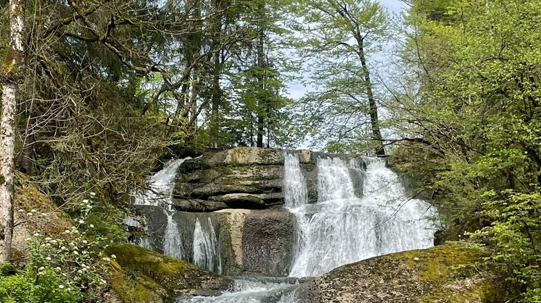 Wasserreich - Vorarlbergs Bäche, Seen und Wasserfälle