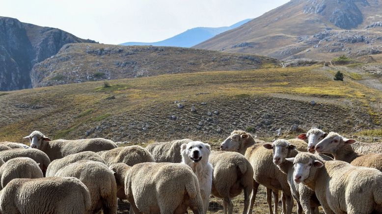 Der Apennin - Italiens Naturparadies