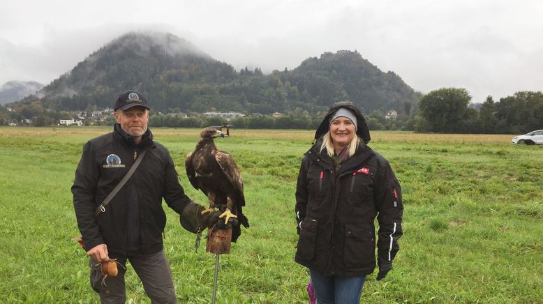 Der Berg der Tiere - Wo Adler kreisen und Affen rebellieren