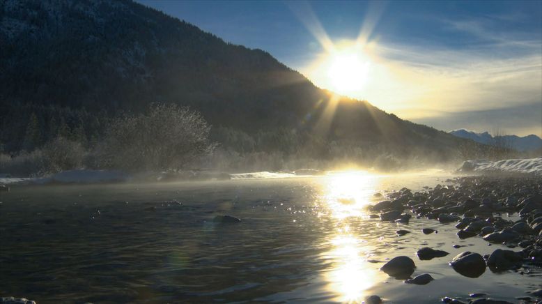 Naturparadies Seefeld - Im Reich des Wanderfalken