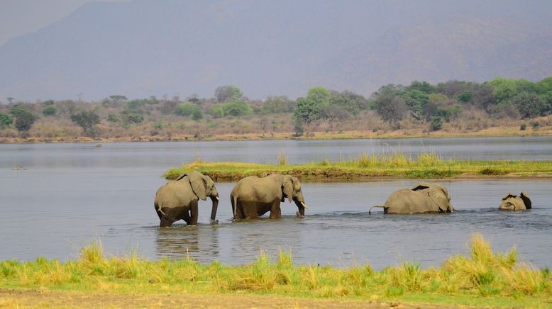 Die wilden Flüsse Afrikas