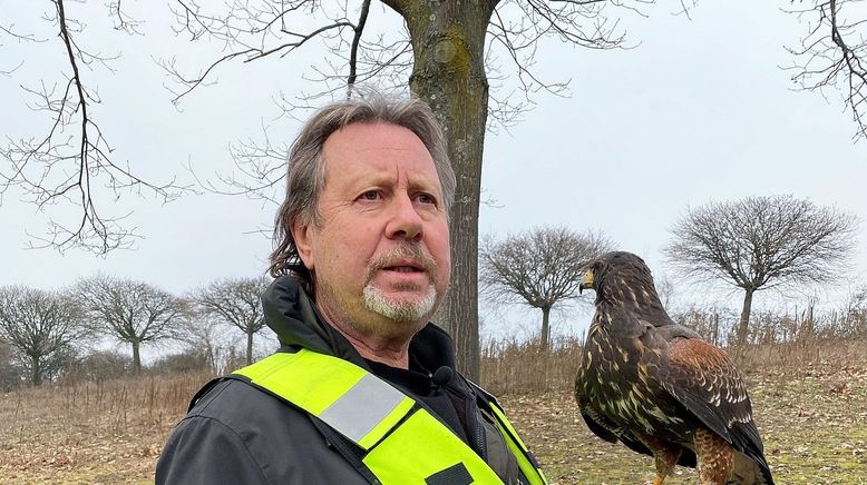 Wildtiere in der Großstadt