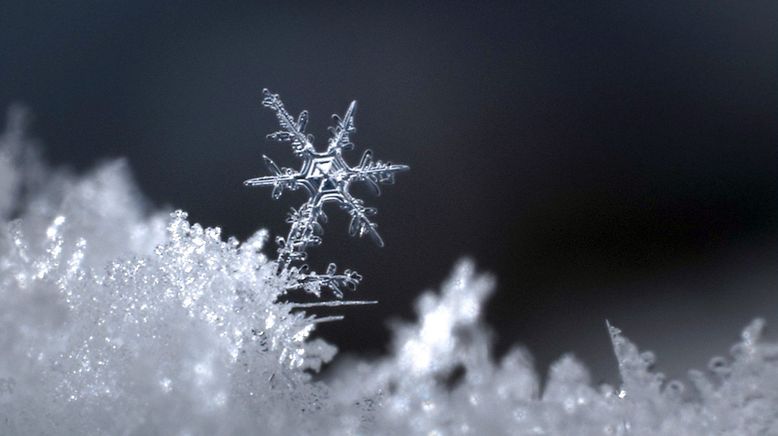 Weiß wie Schnee