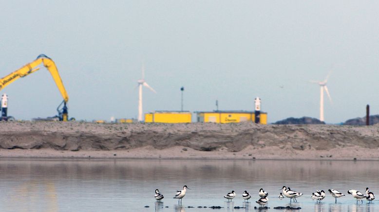 Niederlande: Neue Naturinseln im Markermeer