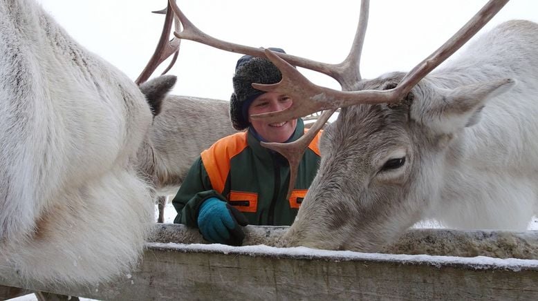 Nordische Tiergeschichten