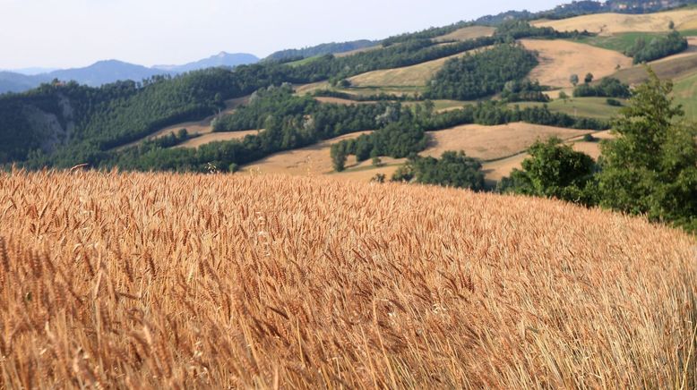 Traumorte - Emilia Romagna