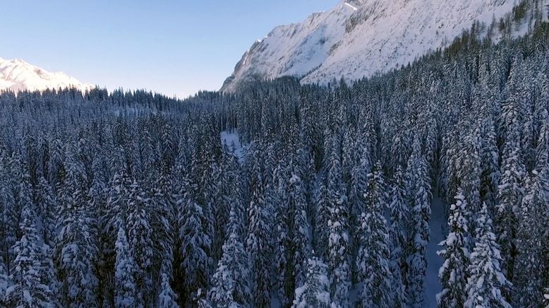 Die Alpen im Winter - Zwischen Dreikönig und Fasnacht