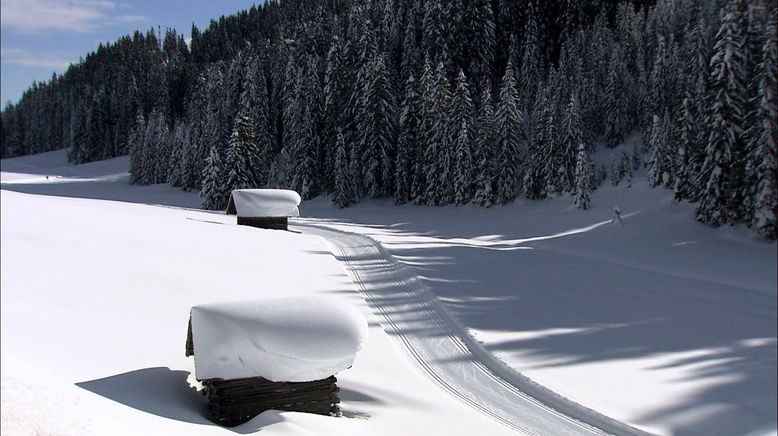 Die Alpen im Winter - Zwischen Dreikönig und Fasnacht