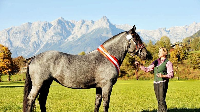 Pferdeland Salzburg