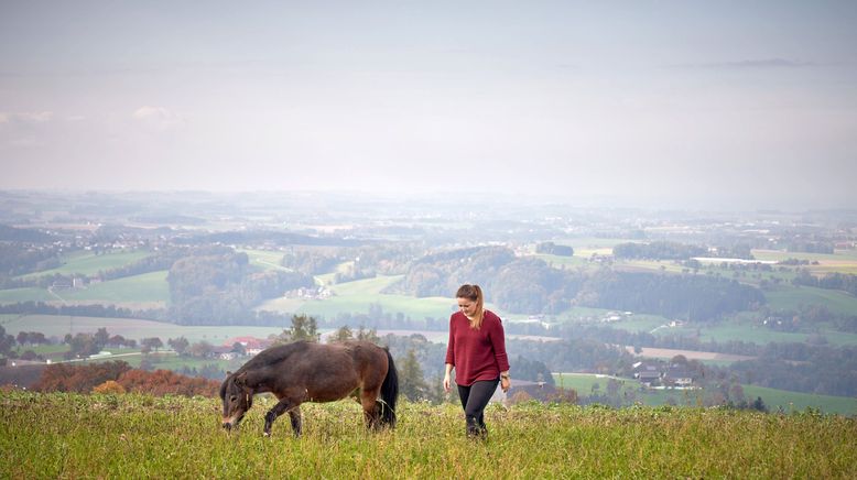 Bergbauernleben 2/2