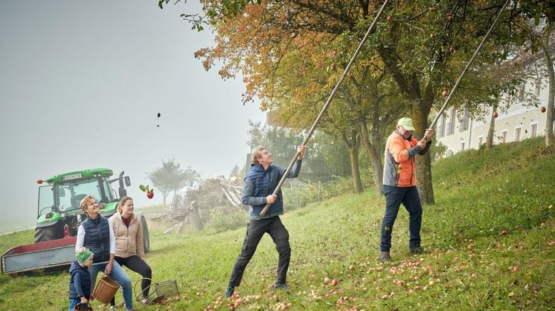 Bergbauernleben: Vom Traunviertel ins Villgratental 2/2