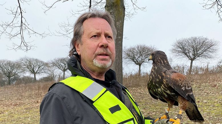 Wildtiere in der Großstadt