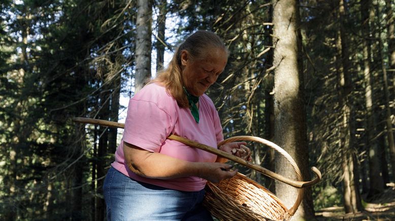 Die Waldflüsterin