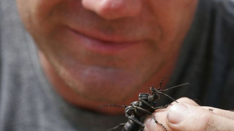 Deadly 60 - Die gefährlichsten Tiere der Welt