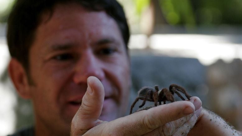 Deadly 60 - Die gefährlichsten Tiere der Welt