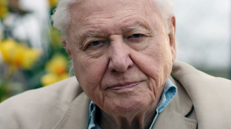 David Attenborough: Der Klang der Natur