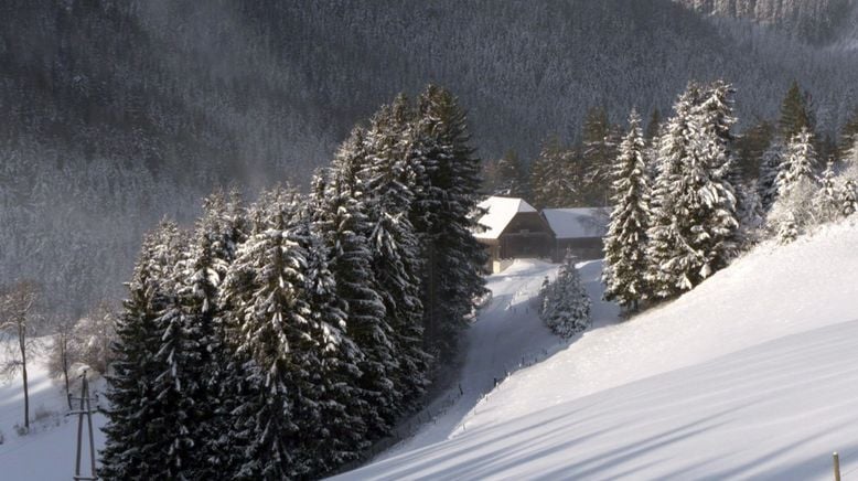 In der Waldheimat