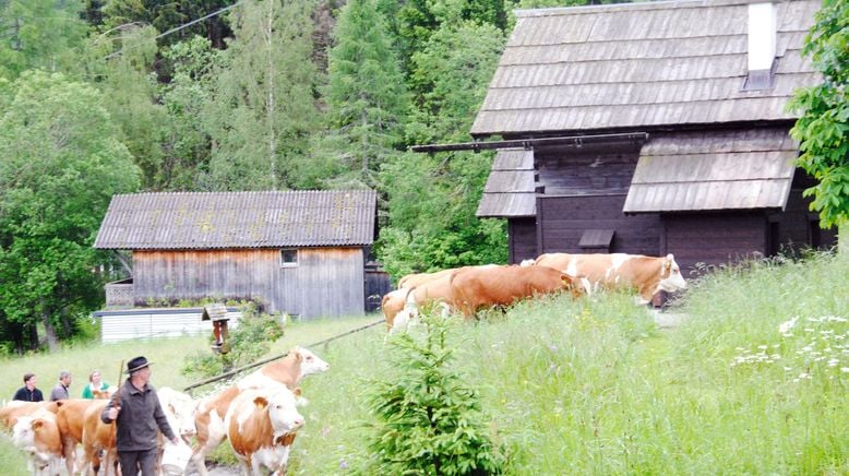 Erlebnis Österreich