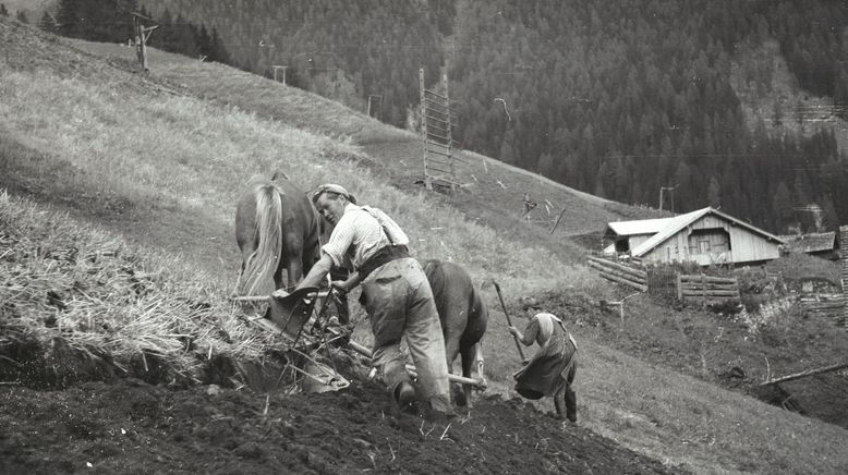 Zuhaus' im Defereggental - Leben von und mit der Natur