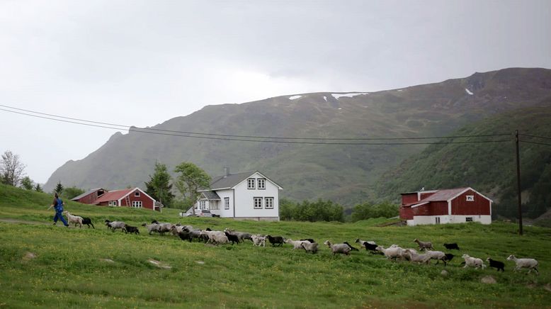 Ein Jahr auf den Lofoten