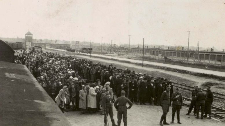 Auschwitz - Überleben in der Hölle