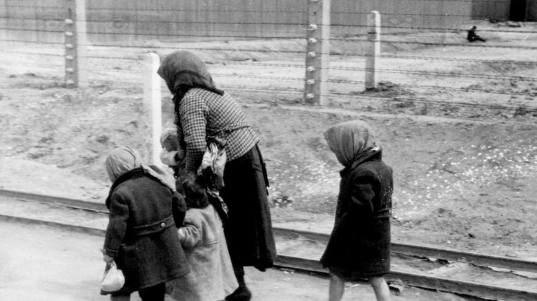 Auschwitz - Überleben in der Hölle