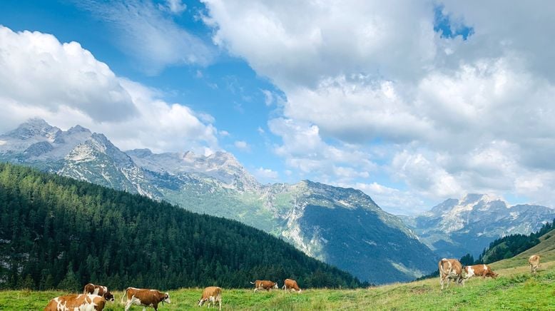 Zurück zur Natur