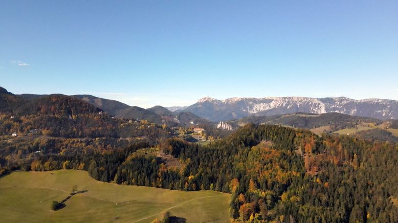 Alpenleben um den Semmering