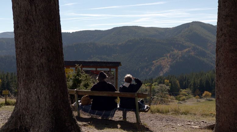 Alpenleben um den Semmering