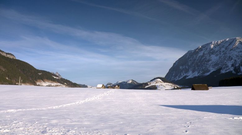 Leben auf der Tauplitz-Alm