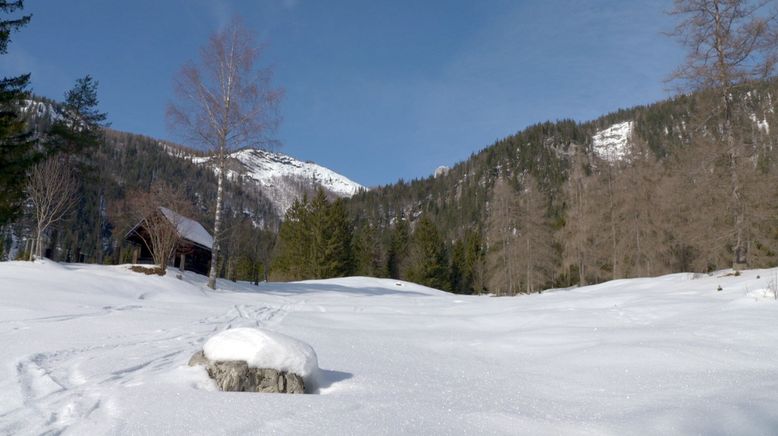 Leben auf der Tauplitz-Alm