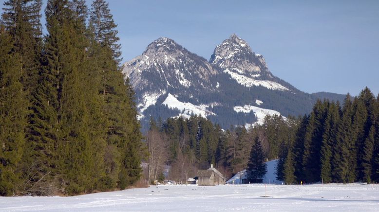 Leben auf der Tauplitz-Alm