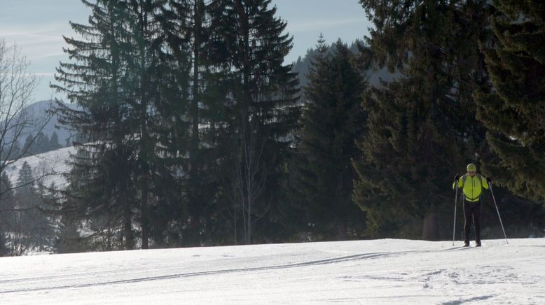 Leben auf der Tauplitz-Alm