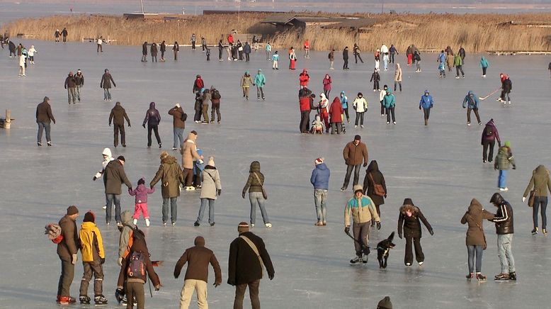 Winter am Neusiedler See