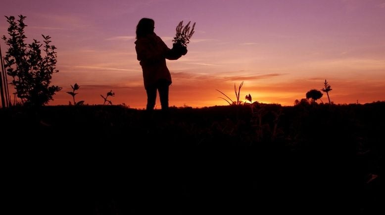 Vom Acker zur Artenvielfalt - Gabys Blumenwiese