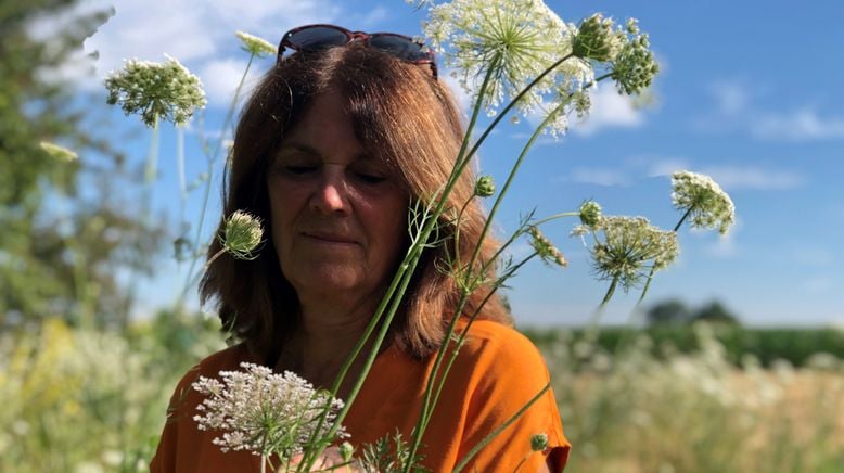 Vom Acker zur Artenvielfalt - Gabys Blumenwiese