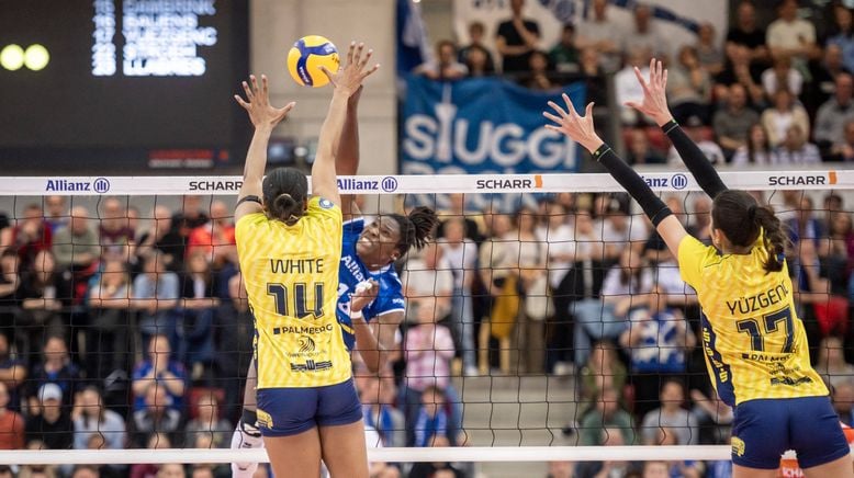 Volleyball - Bundesliga