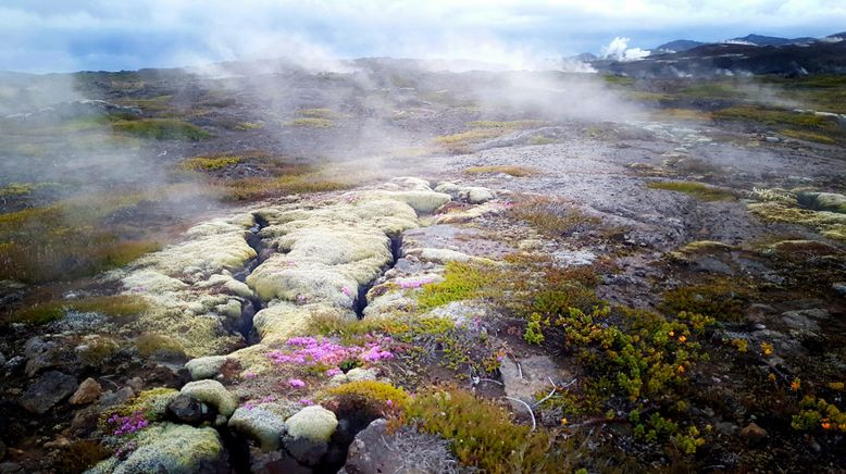 Magisches Island - Leben auf der größten Vulkaninsel der Welt