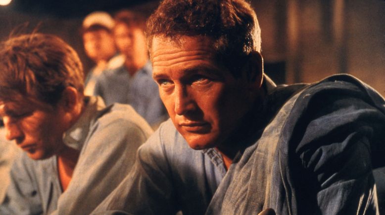 Paul Newman - Der unwiderstehliche Typ