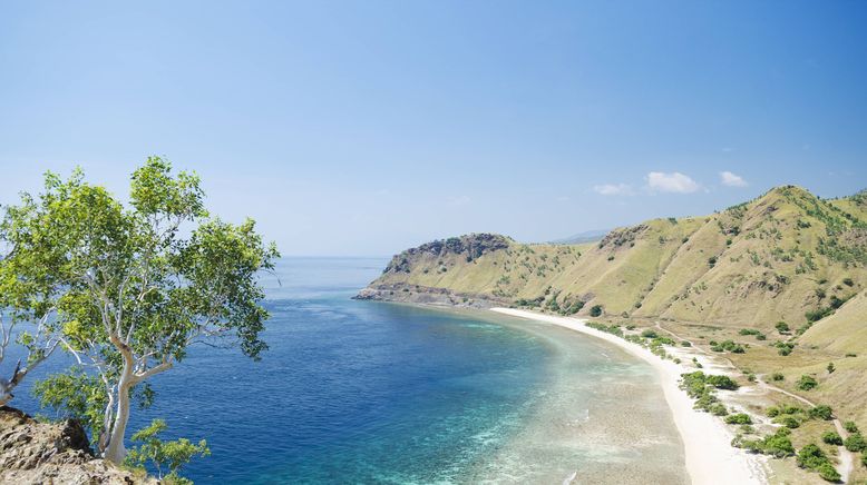 Abenteuer Osttimor - Auf der Suche nach den Blauwalen