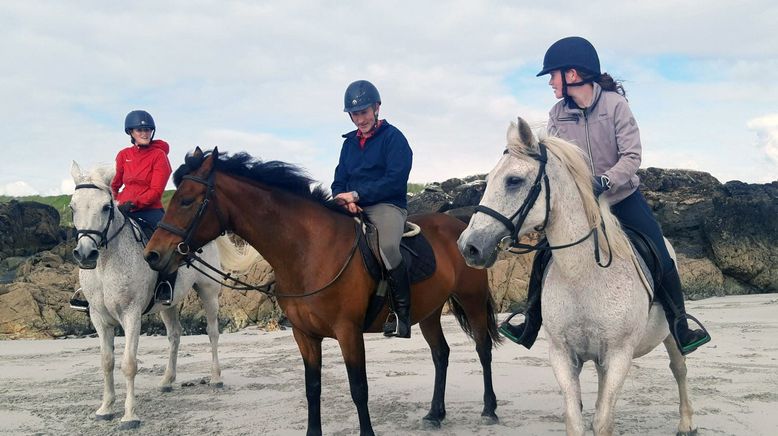 Connemara: Wie das Land, so das Pony