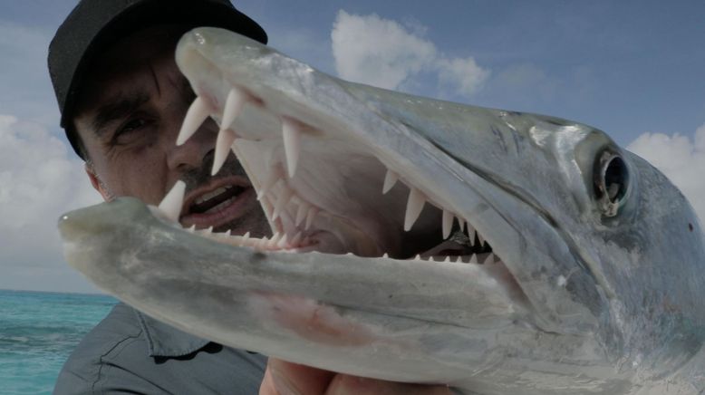 Chasing Monsters - Monsterfischen auf der Spur