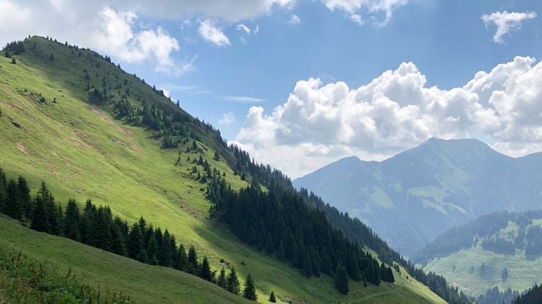 Kitzbüheler Almleben