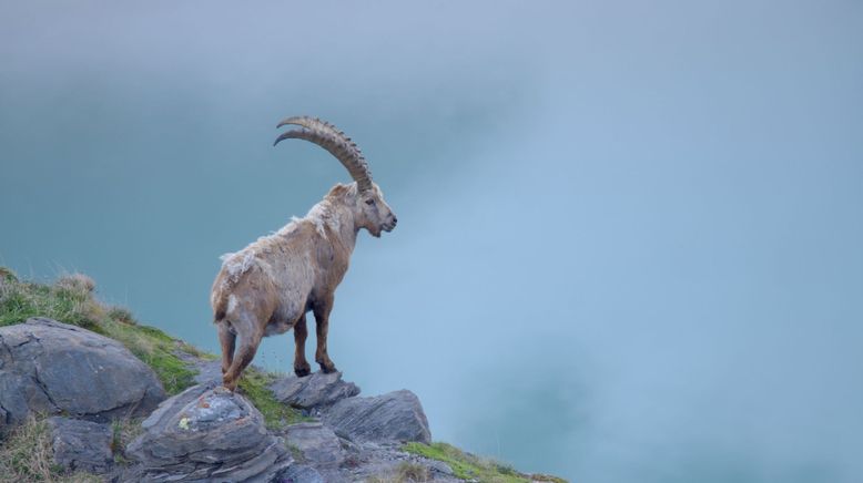 Naturerbe Österreich