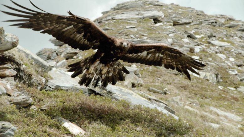 Naturerbe Österreich