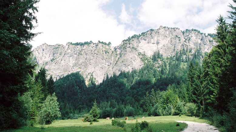 Der Adlerweg - Wandern in Tirol